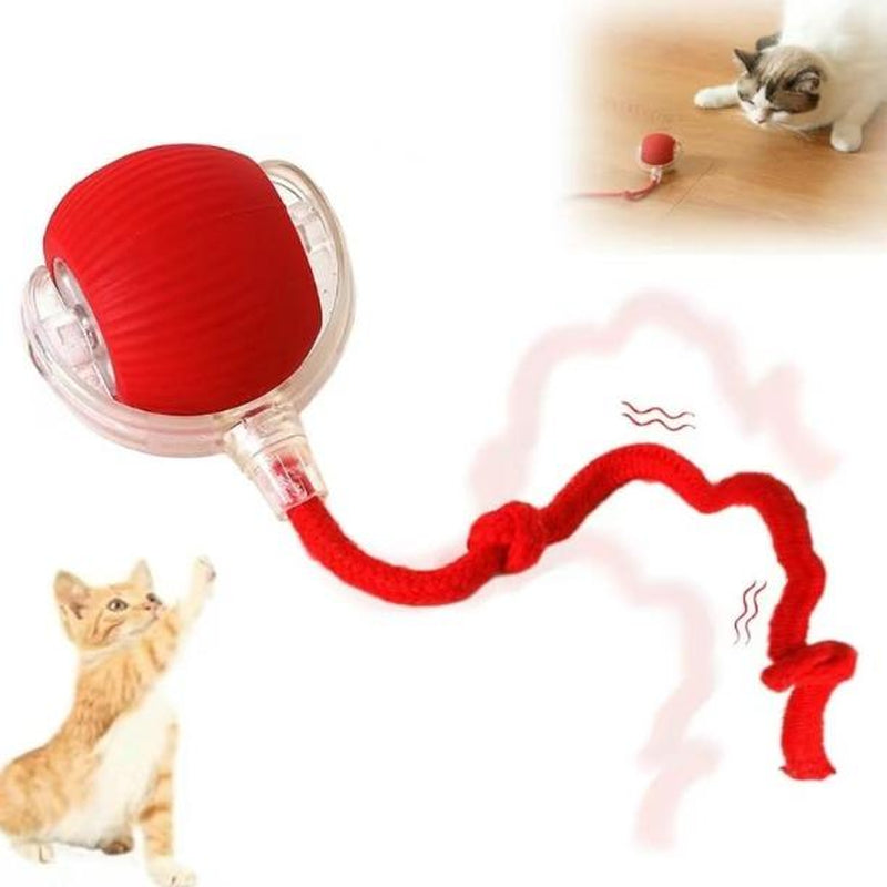 【Sale】Interactive Cat Toy Ball: Automatically Rolling Electric Ball, Suitable for Indoor Cats/Dogs, Brings the Fun of Chasing Tails. Motion Sensing, Keeps Pets Busy and Enjoys Rich Sports Stimulation. Great Pet Gifts/Supplies.