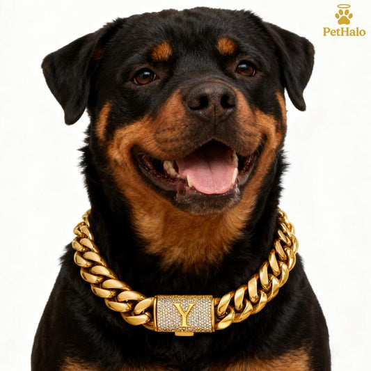 18K Gold Plated Dog Cuban Chain Collar – Custom Initial A–Z Letter Pendant, Heavy Duty Stainless Steel Dog Necklace, Luxury Pet Accessories for All Dog Sizes16/18/20/22/24/26Inch