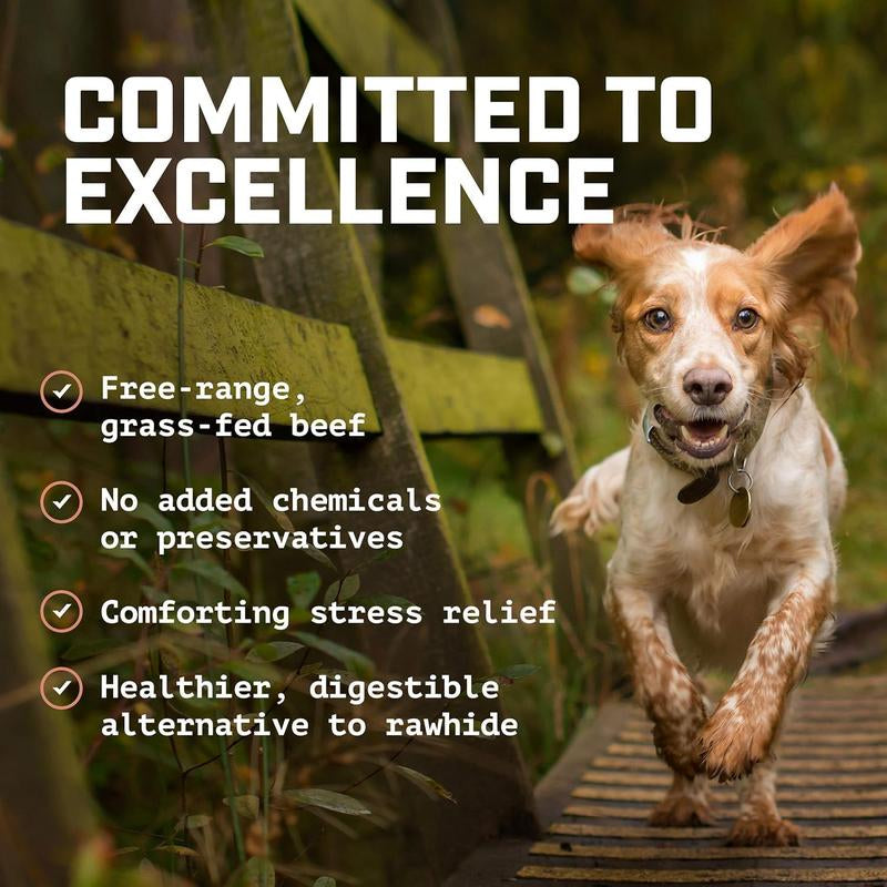 Wild Wolf 6-Inch Beef Gullet Sticks (1 Pound) Healthy, All-Natural Dog Chew Treats - High in Glucosamine and Chondroitin for Joint Health