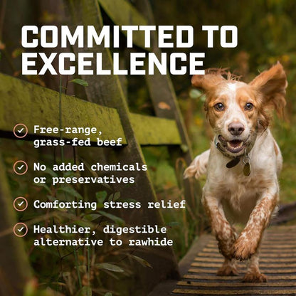 Wild Wolf 6-Inch Beef Gullet Sticks (1 Pound) Healthy, All-Natural Dog Chew Treats - High in Glucosamine and Chondroitin for Joint Health